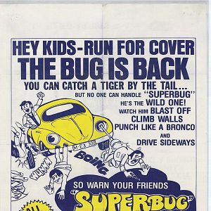 Bilder Ein Käfer geht aufs Ganze