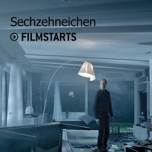 Bilder Sechzehneichen