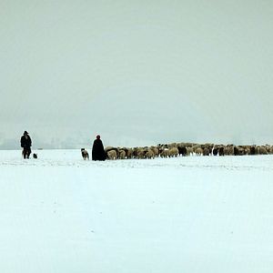 Bilder Winternomaden