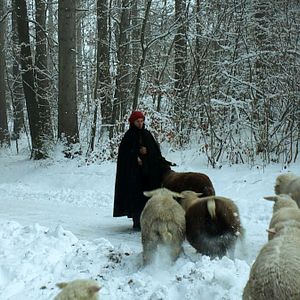 Bilder Winternomaden