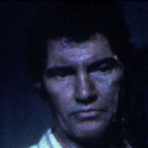 Bilder Andrew Robinson