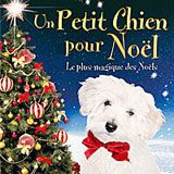 Bilder Ein Welpe zu Weihnachten