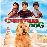 Bilder Ein Weihnachtsspaß auf vier Pfoten