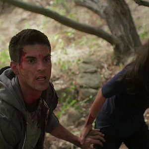 Bilder Hänsel & Gretel