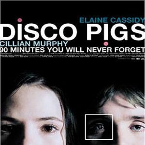 Bilder Disco Pigs