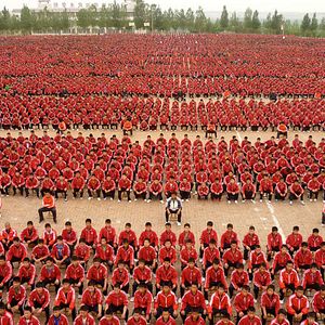 Bilder Drachenmädchen