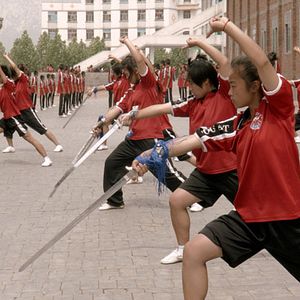 Bilder Drachenmädchen