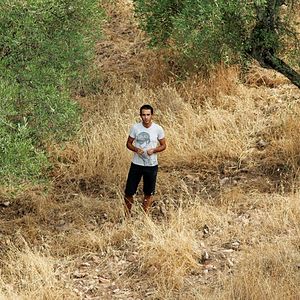 Bilder Sleepless Knights