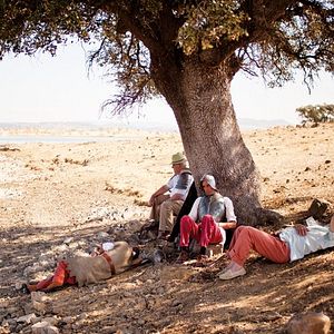 Bilder Sleepless Knights