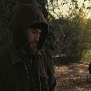 Bilder The Perfect Witness