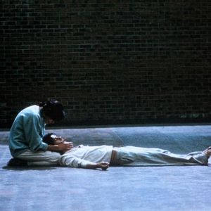 Bilder Catherine Wilkening