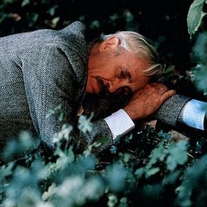 Bilder Der wiedergefundene Freund