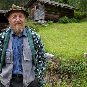 Bilder More than Honey