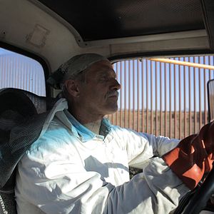 Bilder More than Honey