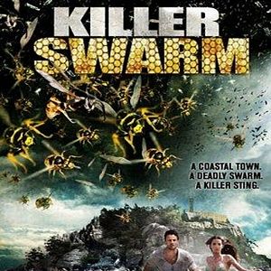 Bilder Die Bienen - Tödliche Bedrohung