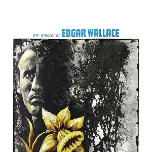 Bilder Das Geheimnis der gelben Narzissen