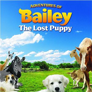 Bilder Bailey - Ein Welpe zum Verlieben