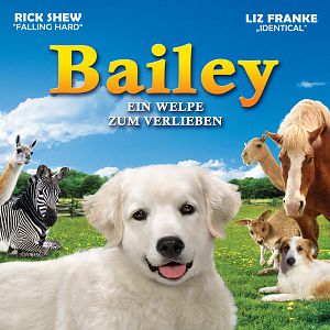 Bilder Bailey - Ein Welpe zum Verlieben