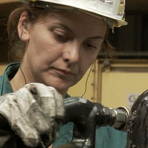 Bilder Rot sind die Füchse