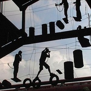 Bilder Rot sind die Füchse