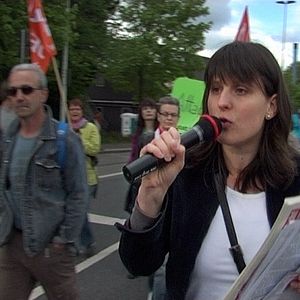 Bilder Rot sind die Füchse