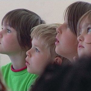 Bilder Rot sind die Füchse