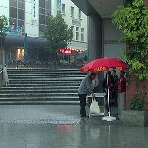 Bilder Rot sind die Füchse