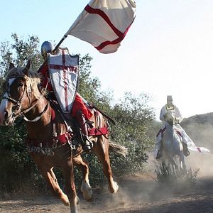 Bilder Die Rache des Templers