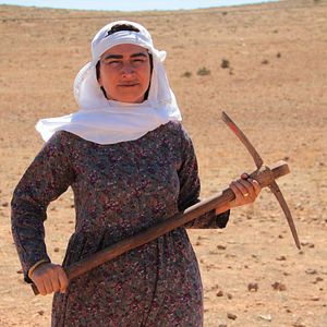 Bilder Hükümet Kadın