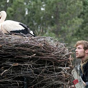 Bilder Le Vol des cigognes