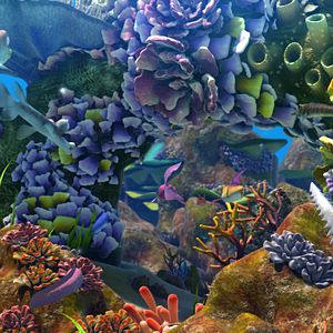 Bilder Happy Fish 2 - High-Alarm im Hochwasser