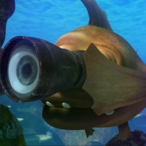 Bilder Happy Fish 2 - High-Alarm im Hochwasser