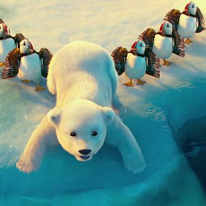 Bilder The Polar Bears