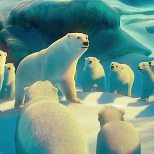 Bilder John Stevenson