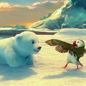 Bilder The Polar Bears