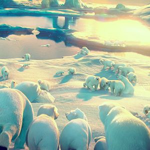 Bilder John Stevenson