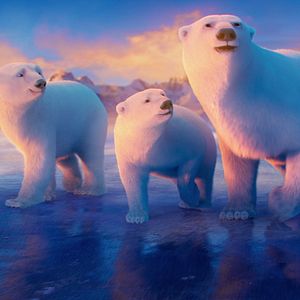 Bilder John Stevenson