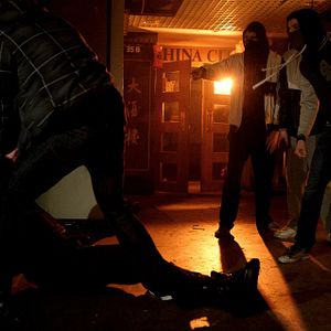 Bilder London Pitbulls