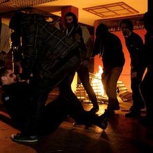 Bilder London Pitbulls