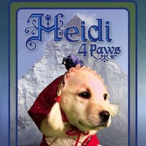 Bilder Heidi auf 4 Pfoten