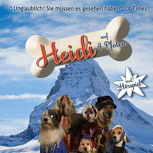 Bilder Heidi auf 4 Pfoten