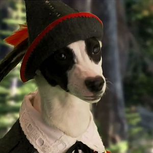 Bilder Heidi auf 4 Pfoten