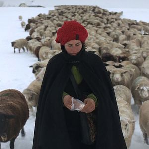 Bilder Winternomaden