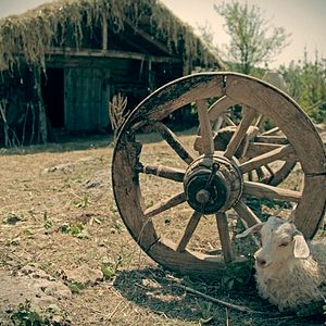 Bilder Mahmut und Meryem