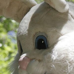Bilder The Bunnyman Massacre