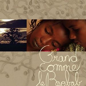 Bilder Tall As The Baobab Tree