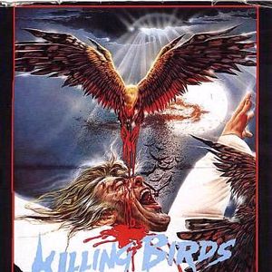 Bilder Killing birds - uccelli assassini