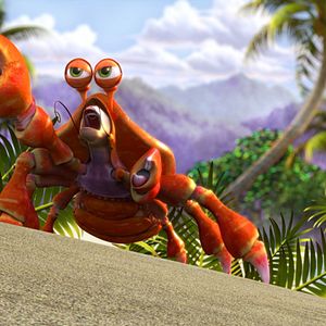 Bilder Fischen Impossible - Eine tierische Rettungsaktion