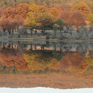 Bilder Lake Placid 4