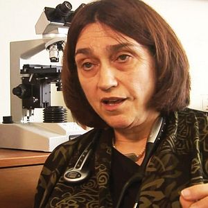 Bilder Weed Bandits 2